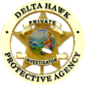 Delta Hawk Logo